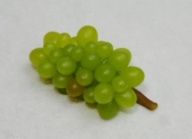 Виноград малая гроздь