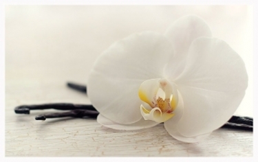 Орхидея и ваниль, отдушка, 10 мл.
