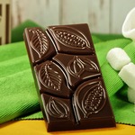 Форма для шоколада "Какао дольки"