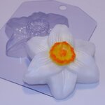 Нарцисс пластиковая форма для мыла